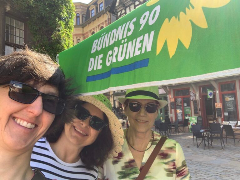 Green Talk auf dem Quedlinburger Markt